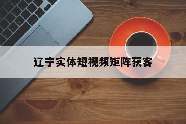 辽宁实体短视频矩阵获客(网上有人带你做短视频矩阵)