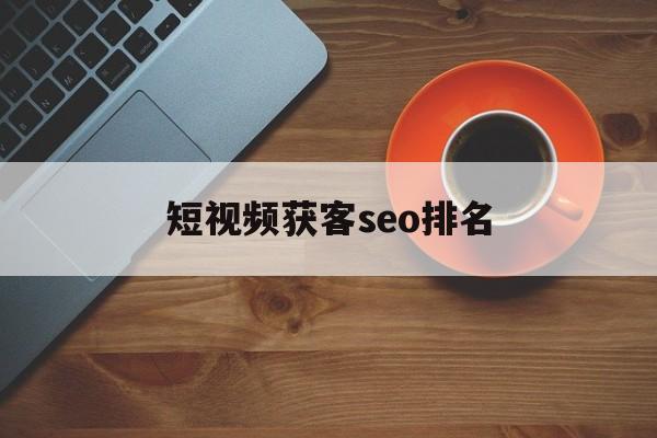 短视频获客seo排名(短视频获客seo排名多少)